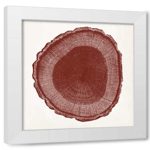 Tree Ring I White Modern Wood Framed Art Print by Vision Studio