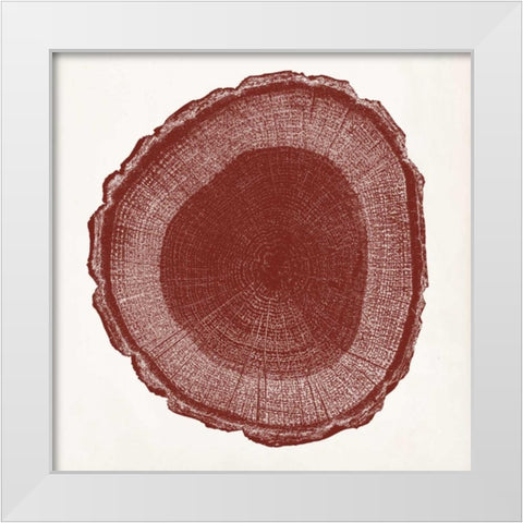 Tree Ring I White Modern Wood Framed Art Print by Vision Studio