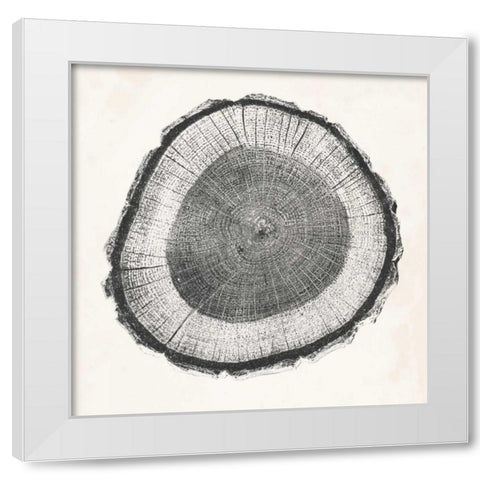 Tree Ring II White Modern Wood Framed Art Print by Vision Studio