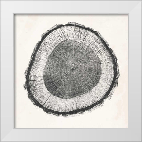 Tree Ring II White Modern Wood Framed Art Print by Vision Studio