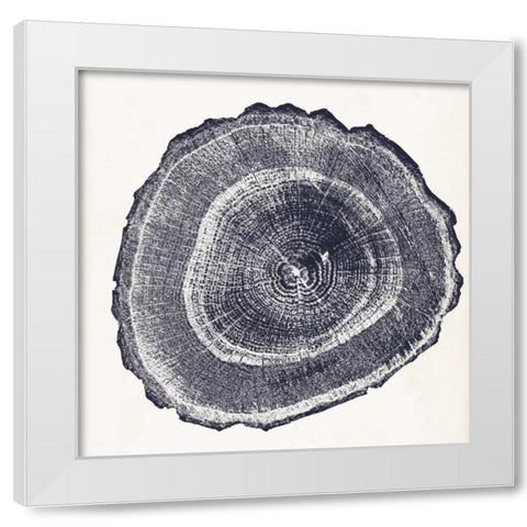 Tree Ring III White Modern Wood Framed Art Print by Vision Studio