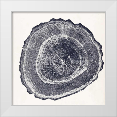 Tree Ring III White Modern Wood Framed Art Print by Vision Studio