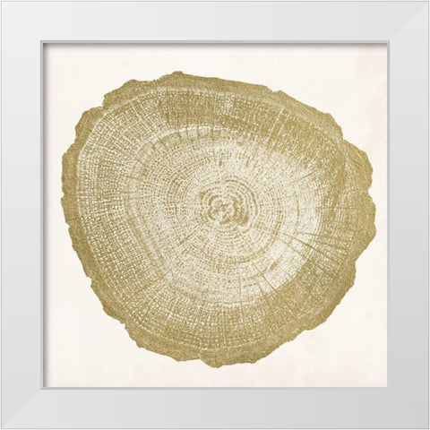 Tree Ring IV White Modern Wood Framed Art Print by Vision Studio