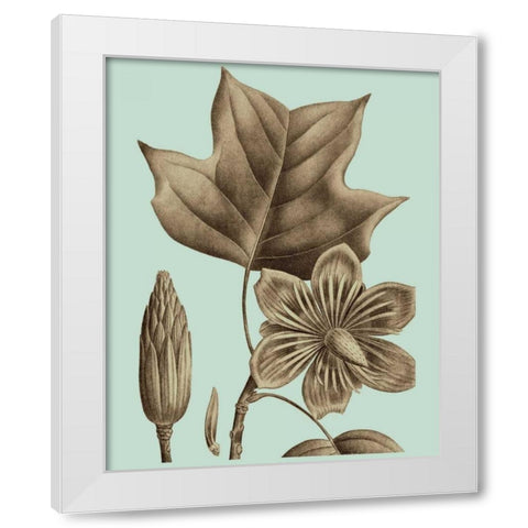 Flowering Trees I White Modern Wood Framed Art Print by Vision Studio