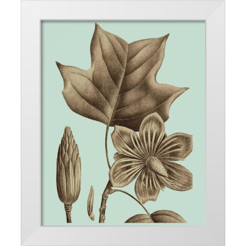 Flowering Trees I White Modern Wood Framed Art Print by Vision Studio