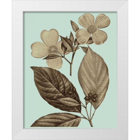 Flowering Trees III White Modern Wood Framed Art Print by Vision Studio