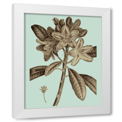 Flowering Trees IV White Modern Wood Framed Art Print by Vision Studio