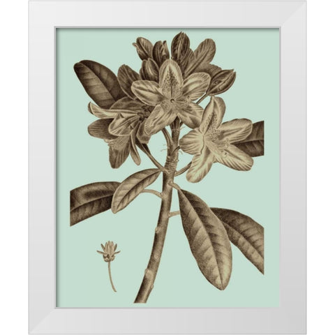 Flowering Trees IV White Modern Wood Framed Art Print by Vision Studio
