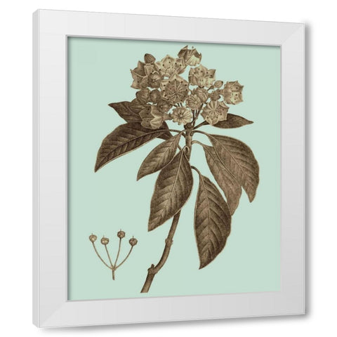 Flowering Trees V White Modern Wood Framed Art Print by Vision Studio