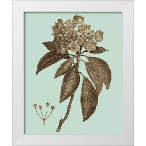 Flowering Trees V White Modern Wood Framed Art Print by Vision Studio