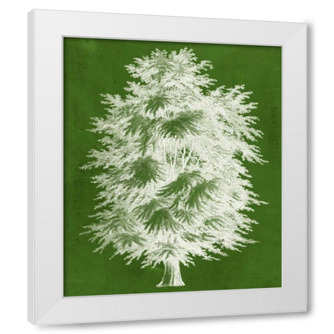 Modern Arbor I White Modern Wood Framed Art Print by Vision Studio