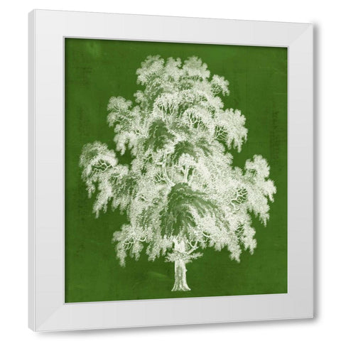 Modern Arbor II White Modern Wood Framed Art Print by Vision Studio