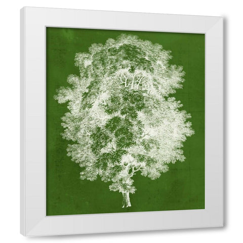 Modern Arbor IV White Modern Wood Framed Art Print by Vision Studio