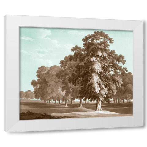 Serene Trees II White Modern Wood Framed Art Print by Kennion, Edward