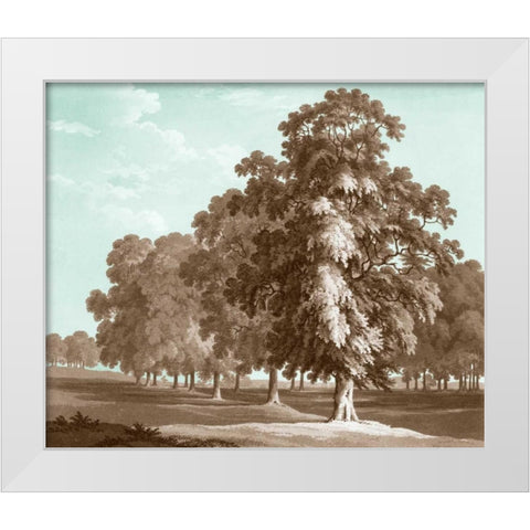 Serene Trees II White Modern Wood Framed Art Print by Kennion, Edward