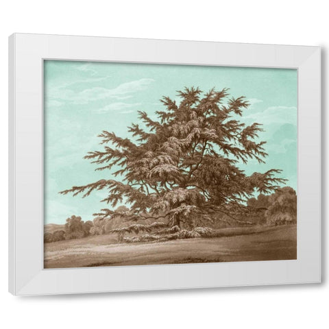 Serene Trees VI White Modern Wood Framed Art Print by Kennion, Edward