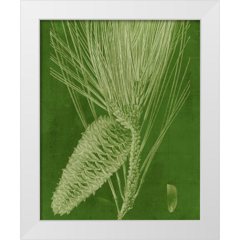 Modern Pine II White Modern Wood Framed Art Print by Vision Studio