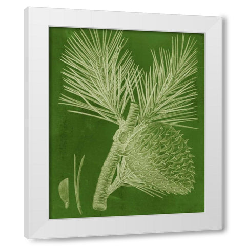 Modern Pine III White Modern Wood Framed Art Print by Vision Studio