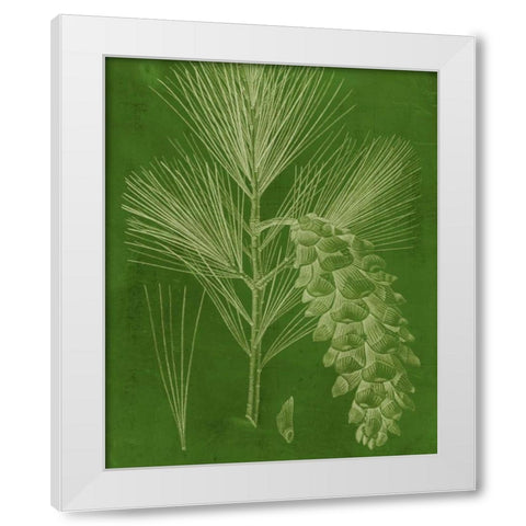 Modern Pine VI White Modern Wood Framed Art Print by Vision Studio