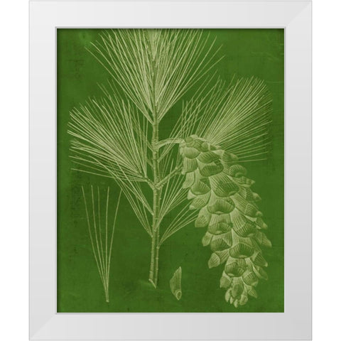 Modern Pine VI White Modern Wood Framed Art Print by Vision Studio