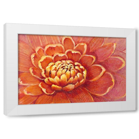 Micro Floral II White Modern Wood Framed Art Print by OToole, Tim