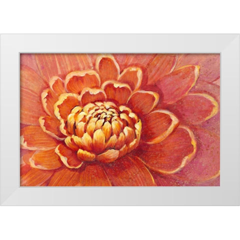 Micro Floral II White Modern Wood Framed Art Print by OToole, Tim