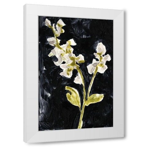 Midnight Phlox I White Modern Wood Framed Art Print by Goldberger, Jennifer