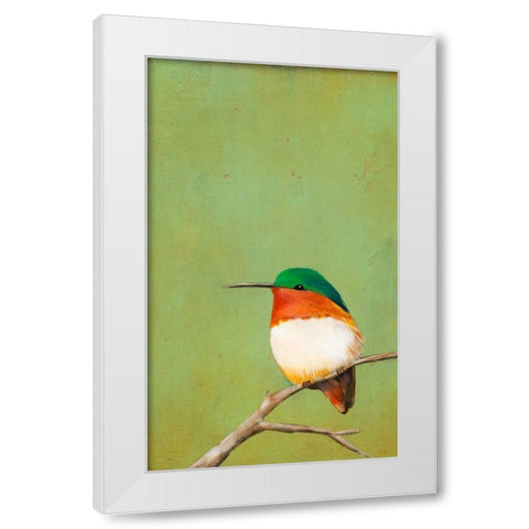 Perch III White Modern Wood Framed Art Print by Altug, Mehmet