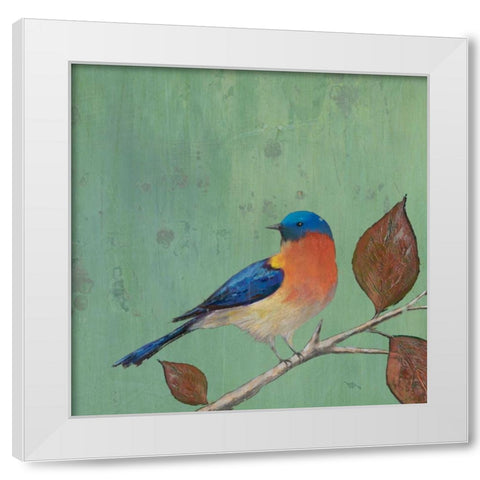 Resting Bird II White Modern Wood Framed Art Print by Altug, Mehmet