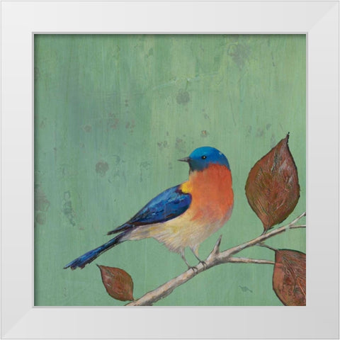 Resting Bird II White Modern Wood Framed Art Print by Altug, Mehmet