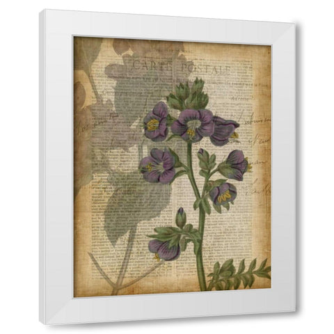 Fuchsia Flowers I White Modern Wood Framed Art Print by Studio W