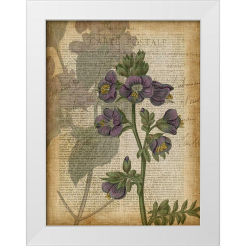 Fuchsia Flowers I White Modern Wood Framed Art Print by Studio W