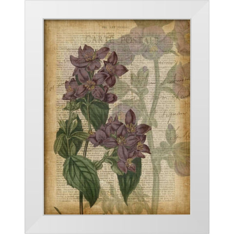 Fuchsia Flowers II White Modern Wood Framed Art Print by Studio W