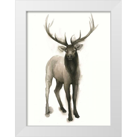 Majestic Wildlife II White Modern Wood Framed Art Print by Popp, Grace