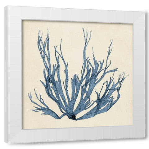 Coastal Seaweed I White Modern Wood Framed Art Print by Vision Studio