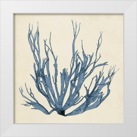 Coastal Seaweed I White Modern Wood Framed Art Print by Vision Studio