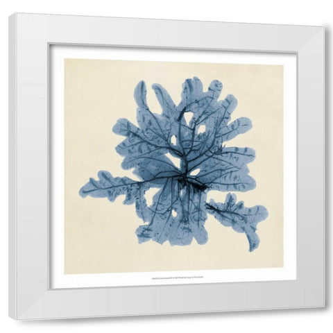 Coastal Seaweed IV White Modern Wood Framed Art Print by Vision Studio