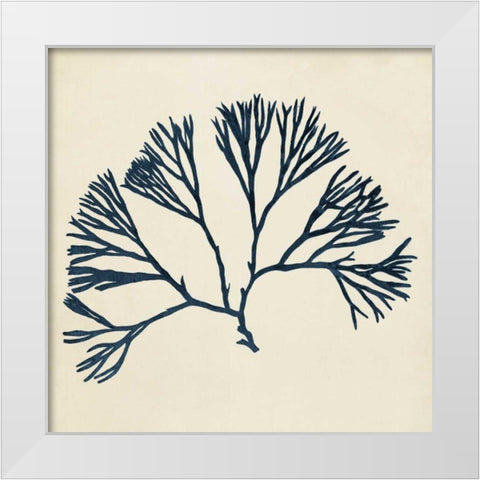 Coastal Seaweed VI White Modern Wood Framed Art Print by Vision Studio