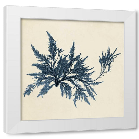 Coastal Seaweed VII White Modern Wood Framed Art Print by Vision Studio