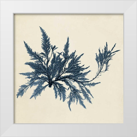 Coastal Seaweed VII White Modern Wood Framed Art Print by Vision Studio