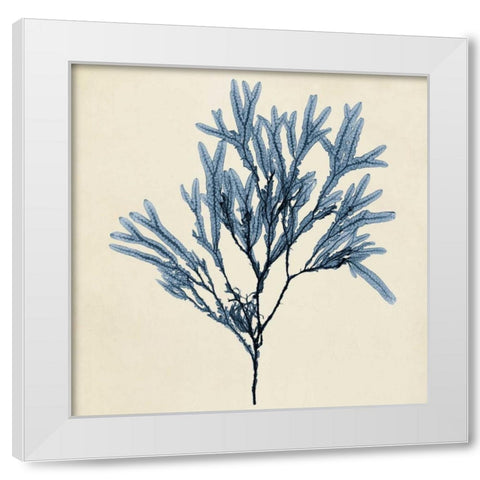 Coastal Seaweed VIII White Modern Wood Framed Art Print by Vision Studio