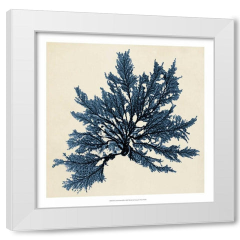 Coastal Seaweed IX White Modern Wood Framed Art Print by Vision Studio