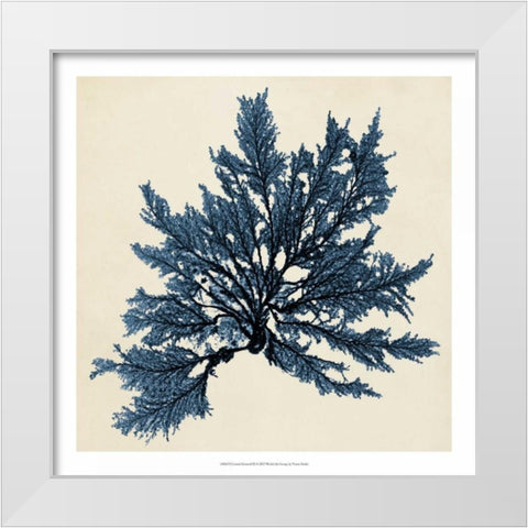 Coastal Seaweed IX White Modern Wood Framed Art Print by Vision Studio