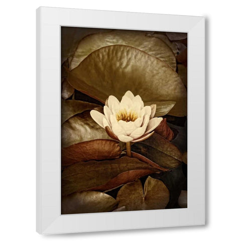 Lily Pad Duo II White Modern Wood Framed Art Print by Perry, Rachel