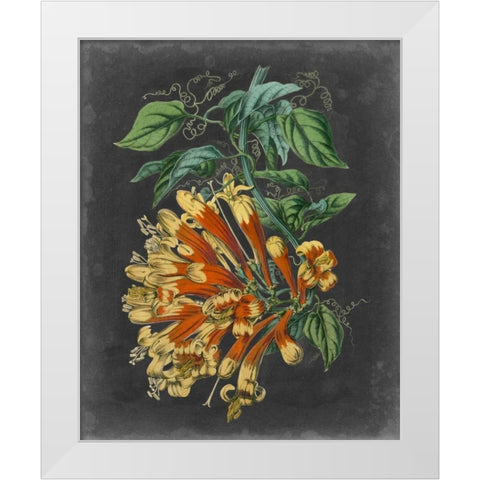 Dramatic Tropical Beauty II White Modern Wood Framed Art Print by Wiek, John