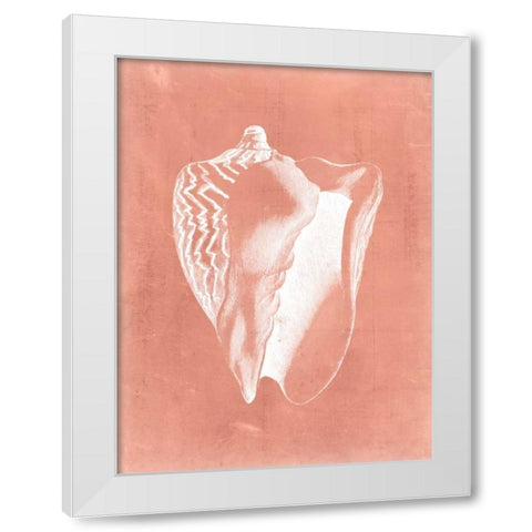 Sealife on Coral I White Modern Wood Framed Art Print by Vision Studio