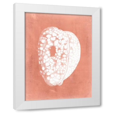 Sealife on Coral III White Modern Wood Framed Art Print by Vision Studio