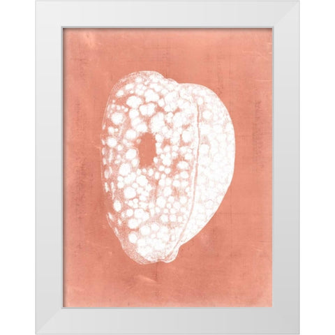 Sealife on Coral III White Modern Wood Framed Art Print by Vision Studio