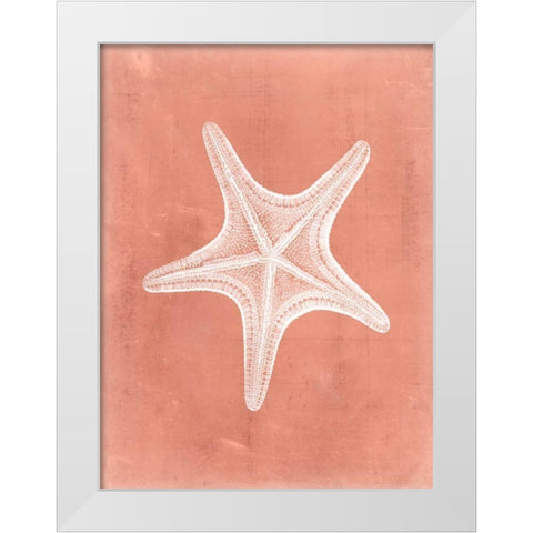 Sealife on Coral IV White Modern Wood Framed Art Print by Vision Studio