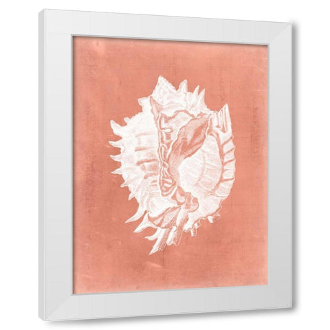 Sealife on Coral VI White Modern Wood Framed Art Print by Vision Studio